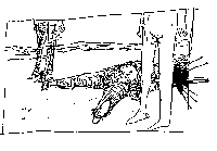 Illustration from book of poems by Martin Doyle